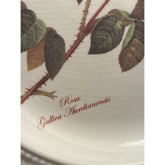 Set of Three Redoute Roses Collection Square Plates by Baum Bros. formalities - Picture 12 of 16